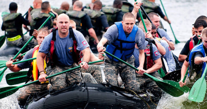 Fight Breaks Out mattis felis consec